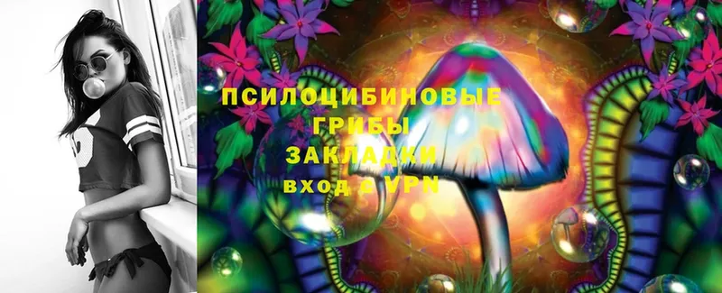 Псилоцибиновые грибы MAGIC MUSHROOMS  Ардон 